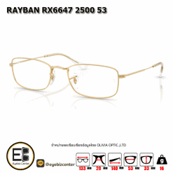 . แว่นสายตา RAYBAN RX6647 2500 53 [RBที่ขาแว่น] [มีสินค้าที่ : สาขา ท่าพระ / สาขา บรมราชชนนี]