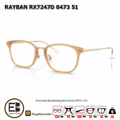 . กรอบแว่นสายตา  RAYBAN RX7247D 8473 51 [RB ที่ขาแว่น] [มีสินค้าที่ : สำนักงานใหญ่]